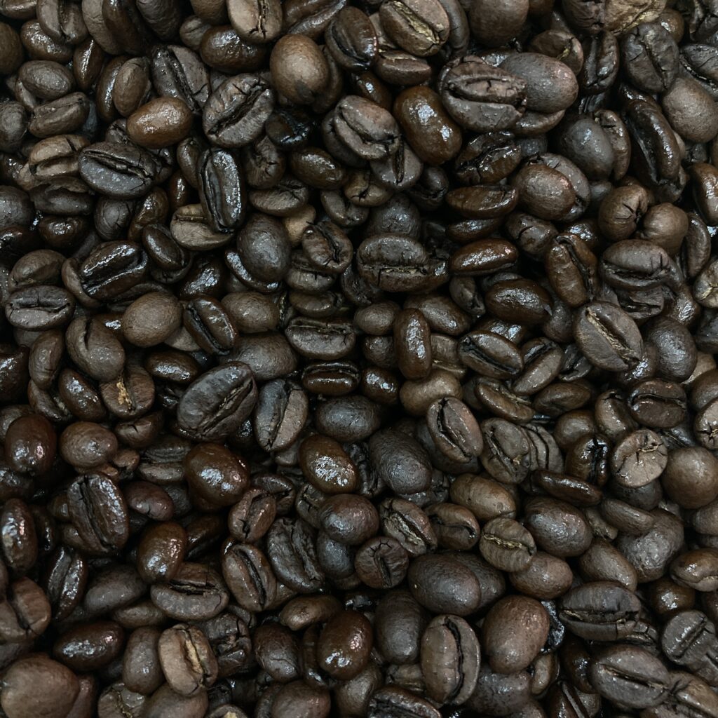 タンザニア産 コーヒー豆 ウォッシュド